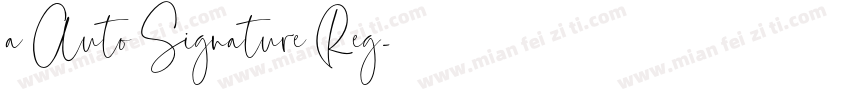 a Auto Signature Reg字体转换